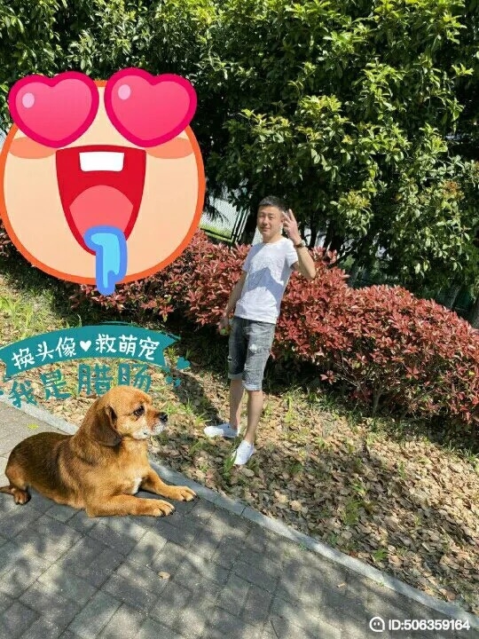 我若不坚强谁替我勇敢的第五张照片--肥西认干亲服务网